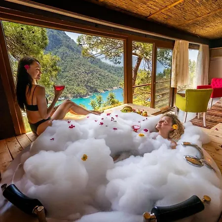 Bed & Breakfast The View *